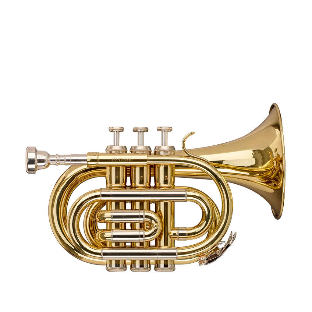 Stagg Bb pocket trumpet with large sound piece