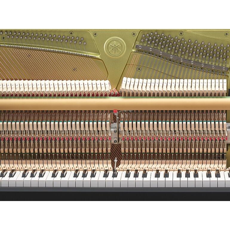Yamaha B10 PE