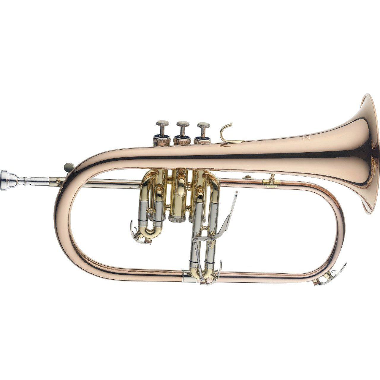 Stagg FH6205 Bb Flugelhorn in Goldbrass