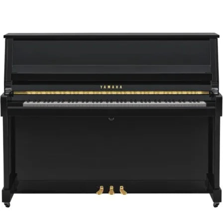 Yamaha B20 PE