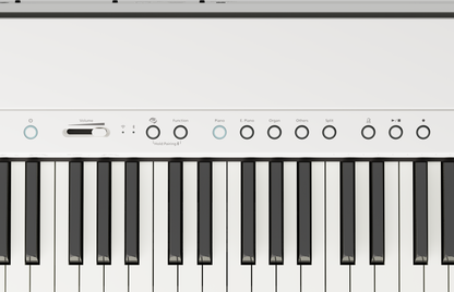 Roland FP-40 Digital Piano