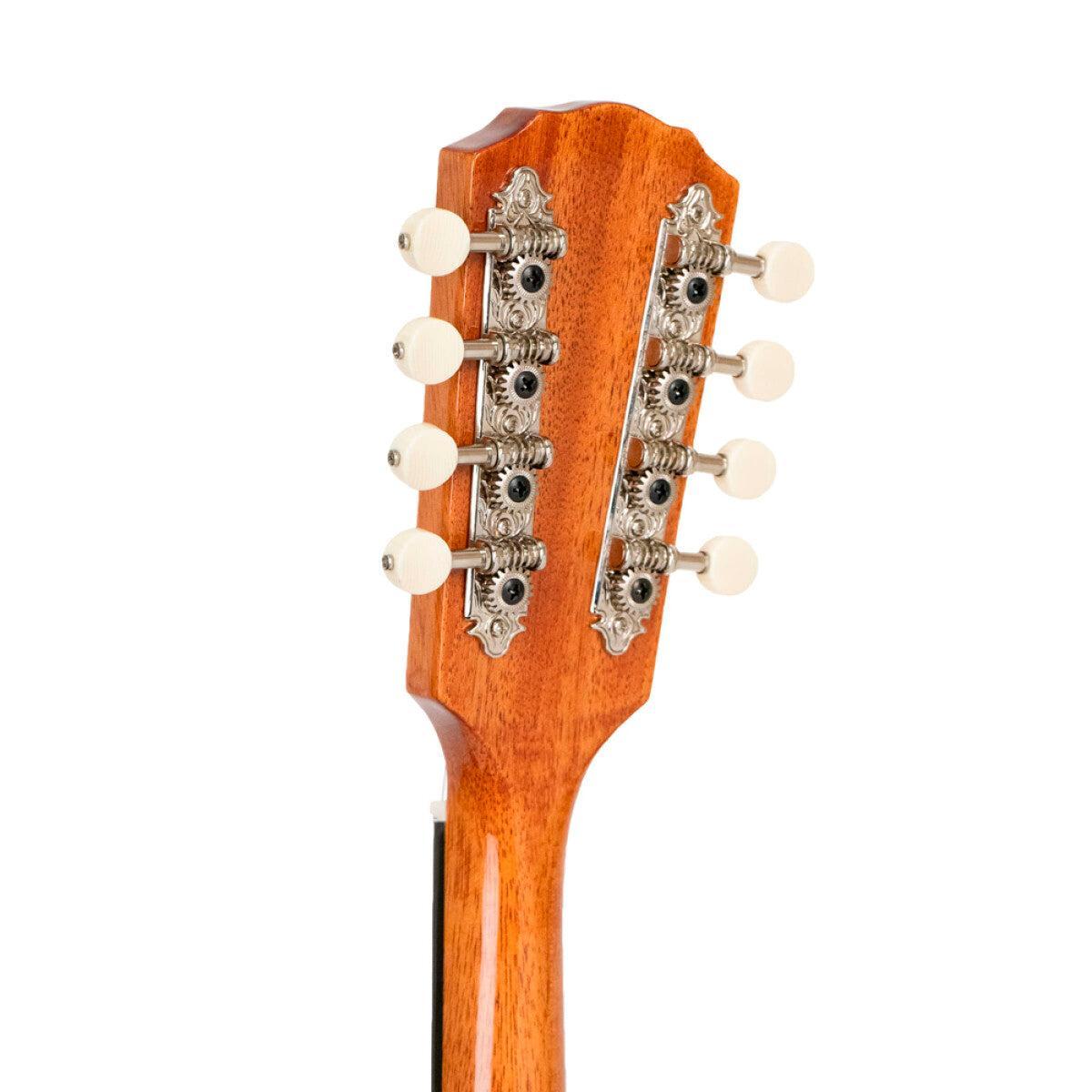 GOLD TONE GM-10 Frypan-style mandolin – massiv konstruktion | Inkl. kasse