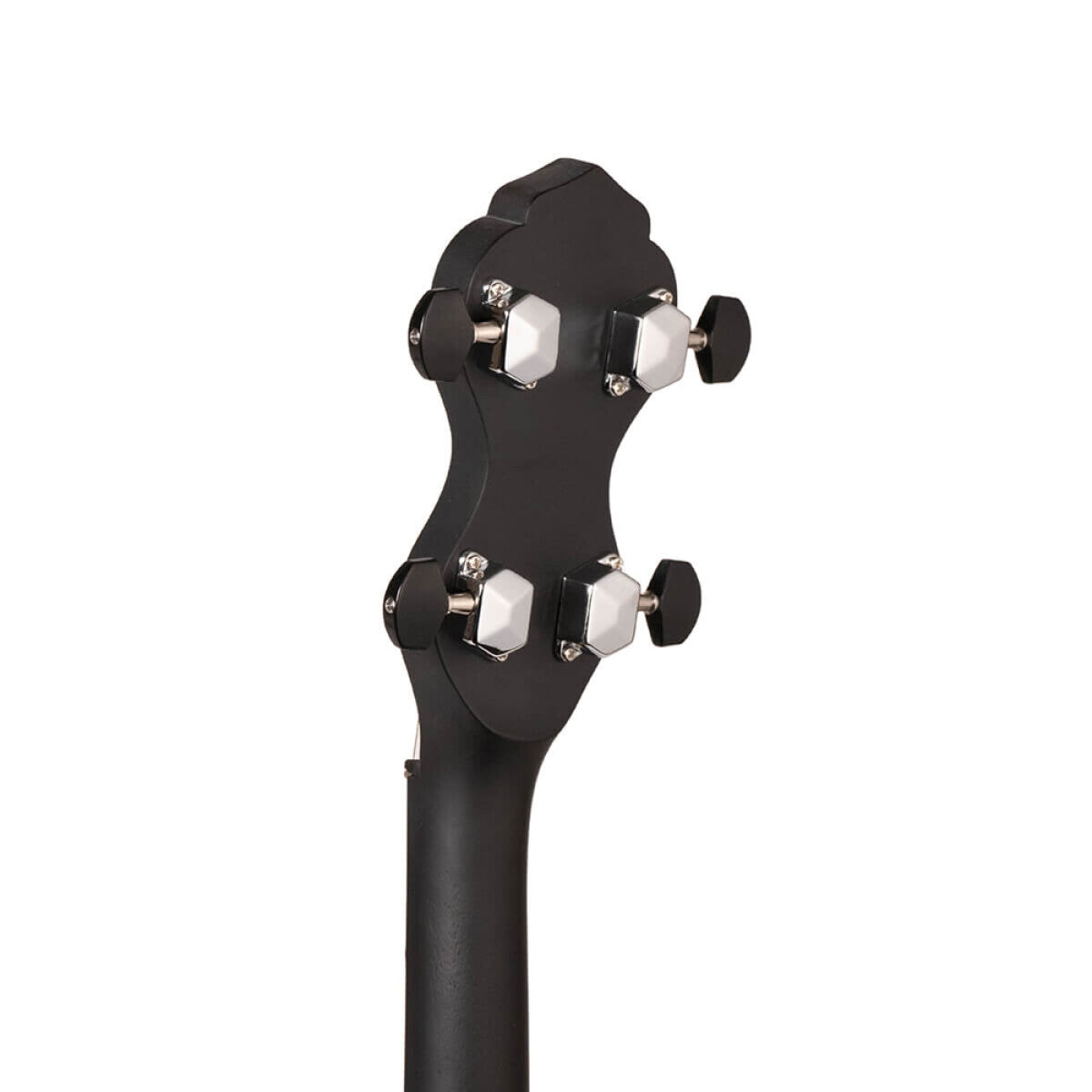 Gold Tone AC-1LN – 5-strenget open back long neck banjo med transporttaske