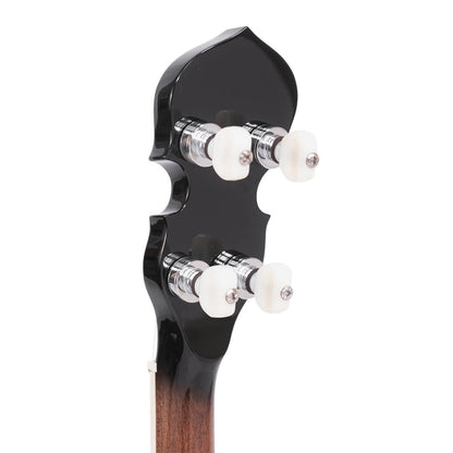 Gold Tone IT-250F – Irsk tenorbanjo med resonator og kuffert