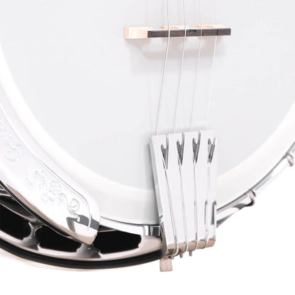 Gold Tone IT-250F – Irsk tenorbanjo med resonator og kuffert
