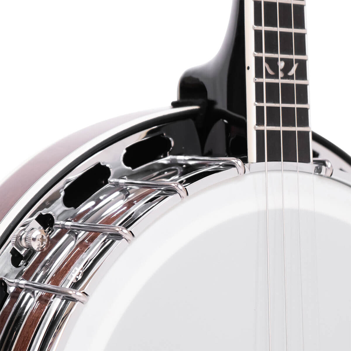 Gold Tone IT-250F – Irsk tenorbanjo med resonator og kuffert