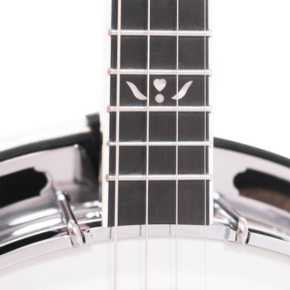 Gold Tone IT-250F – Irsk tenorbanjo med resonator og kuffert