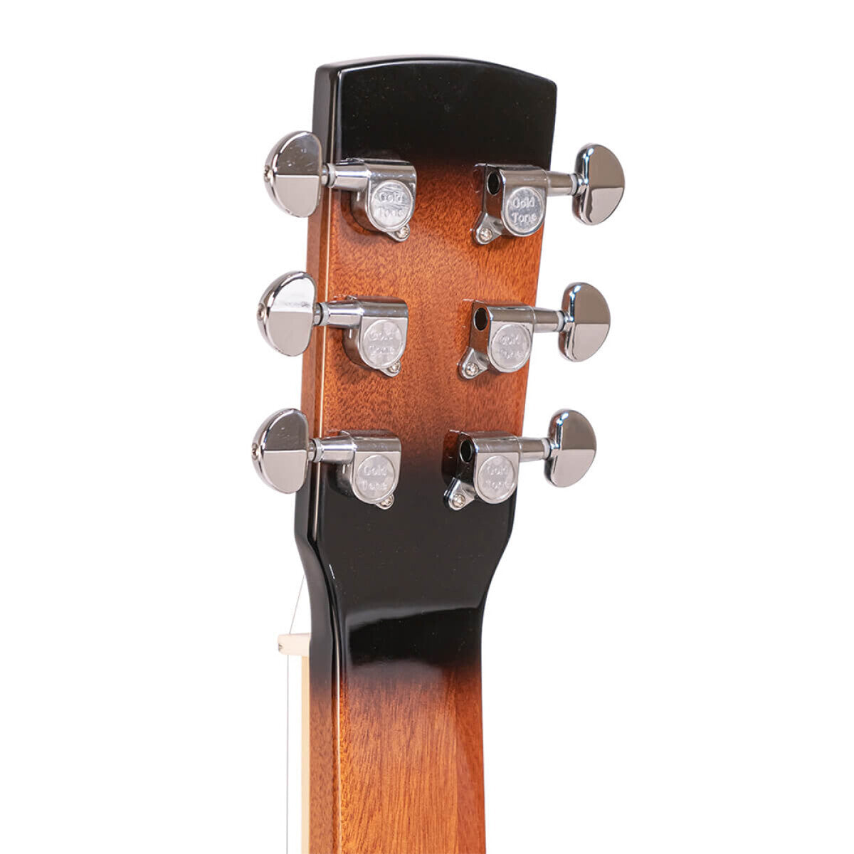 Gold Tone PBS – Paul Beard Signature resonatorguitar med square neck