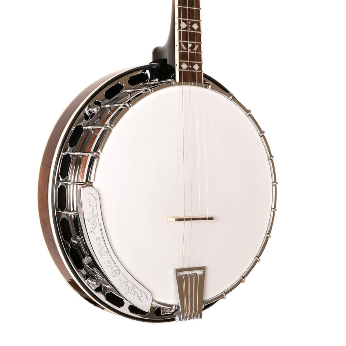 Gold Tone TS-250 – Tenor Special banjo