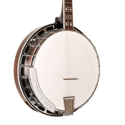 Gold Tone TS-250 – Tenor Special banjo