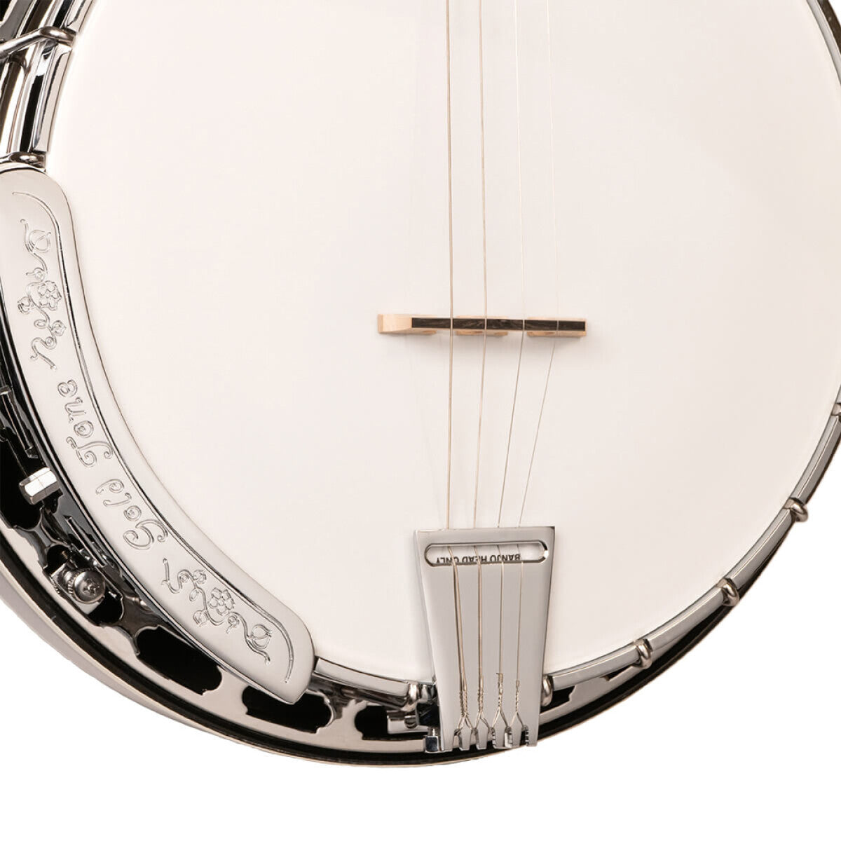 Gold Tone TS-250 – Tenor Special banjo