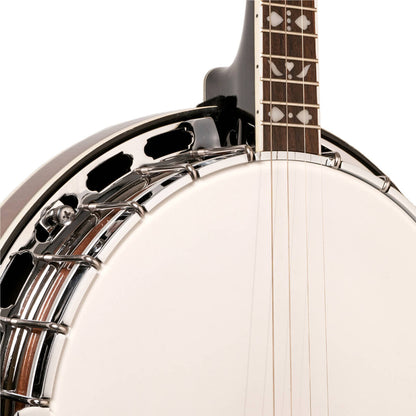 Gold Tone TS-250 – Tenor Special banjo
