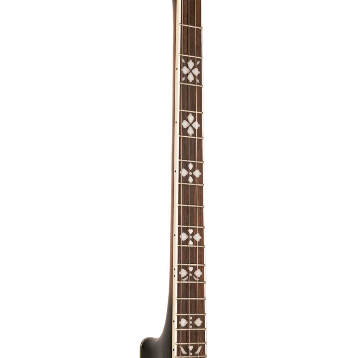 Gold Tone TS-250 – Tenor Special banjo
