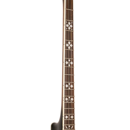 Gold Tone TS-250 – Tenor Special banjo