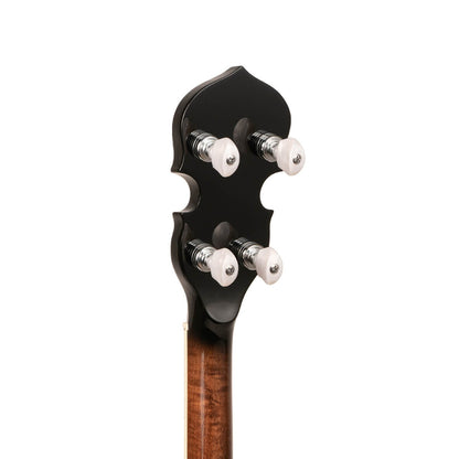 Gold Tone TS-250 – Tenor Special banjo