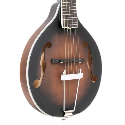 Gold Tone A-6 Guitar mandolin med A-style krop og pickup med taske