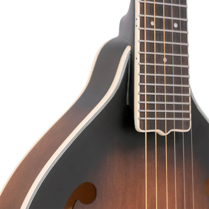 Gold Tone A-6 Guitar mandolin med A-style krop og pickup med taske