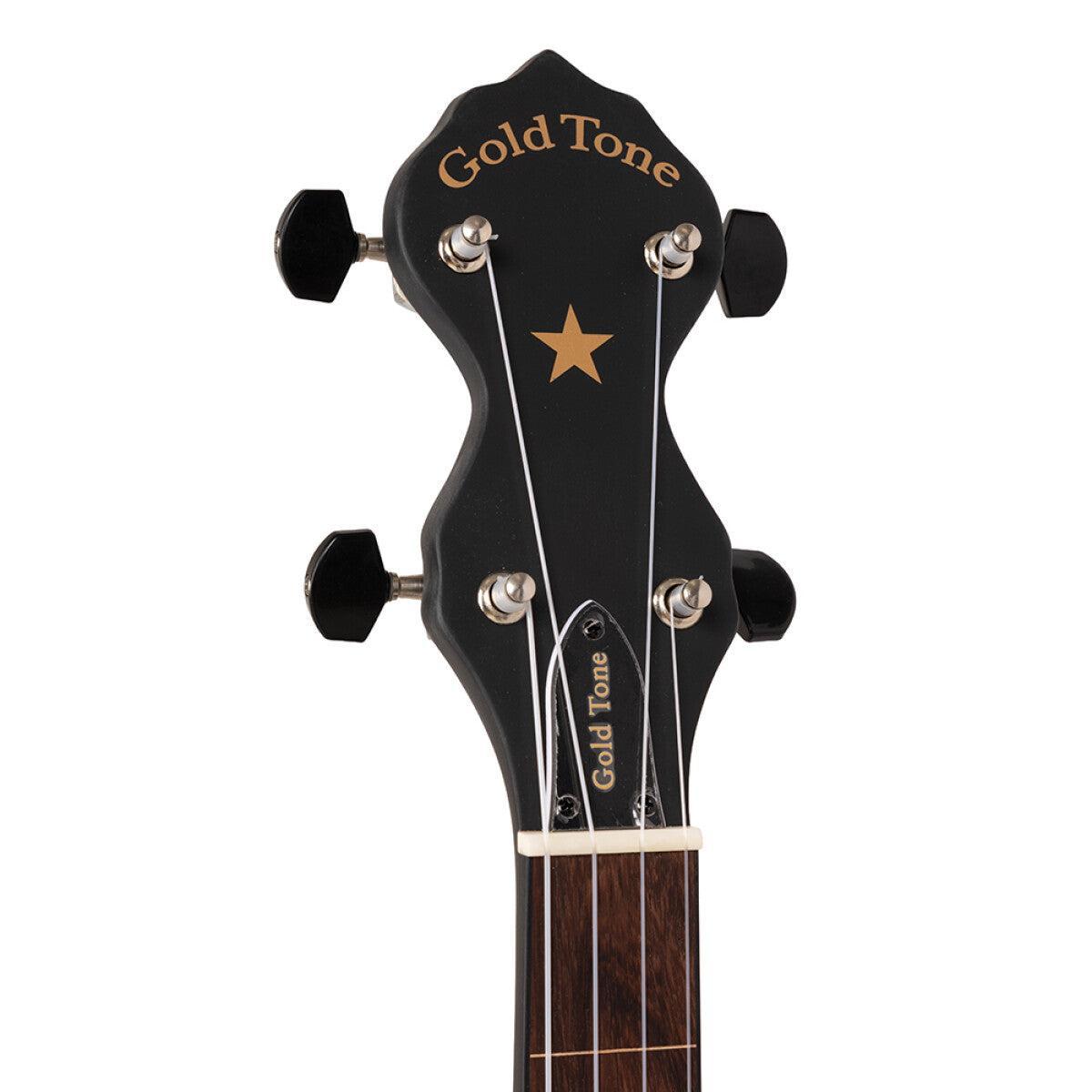 Gold Tone AC-12 FL – 5-strenget båndløs open back-banjo med transporttaske