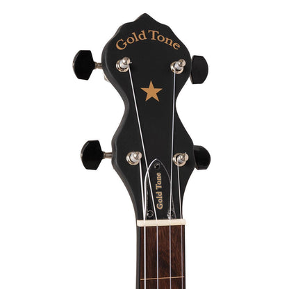 Gold Tone AC-12 FL – 5-strenget båndløs open back-banjo med transporttaske