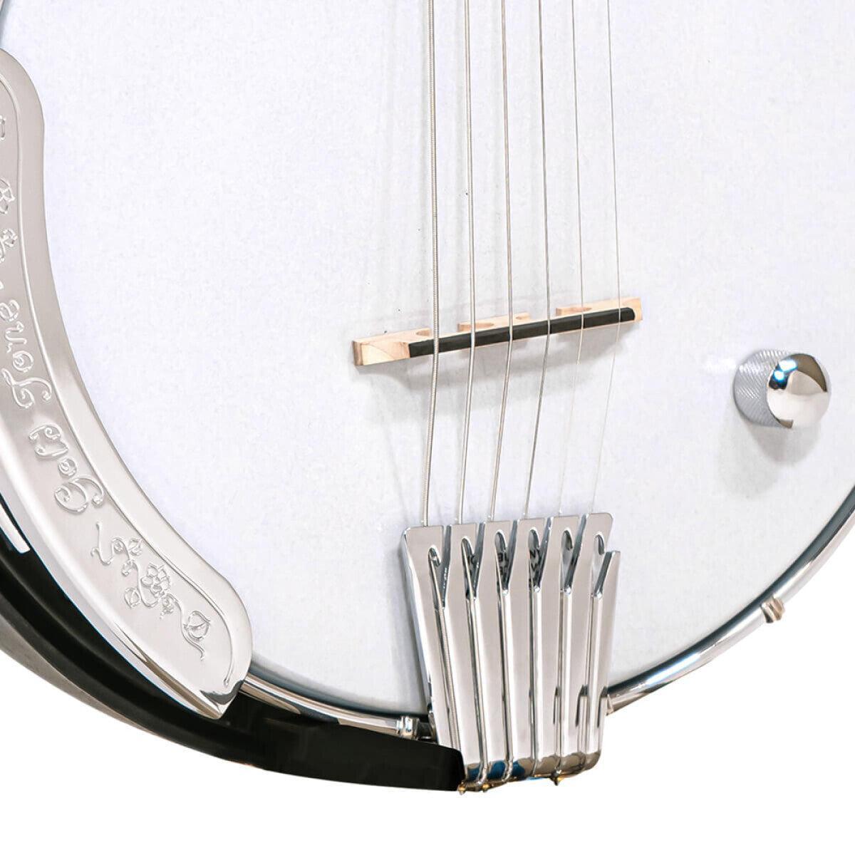 Gold Tone AC-6+ Banjitar med pickup og taske
