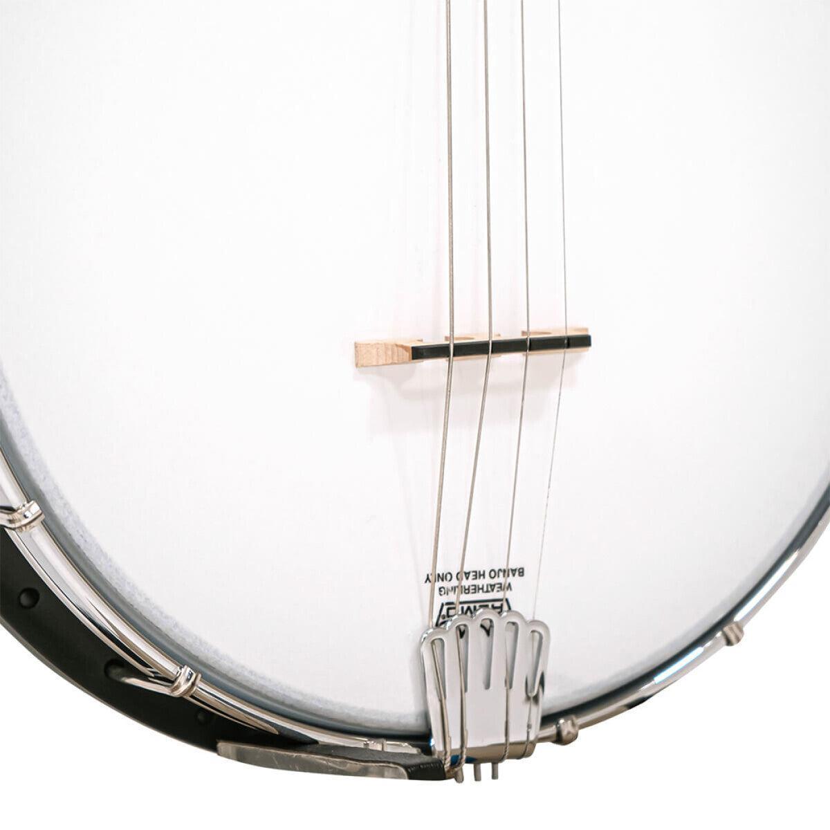 Gold Tone Akustisk komposit 4-strenget openback Irish tenor banjo med taske