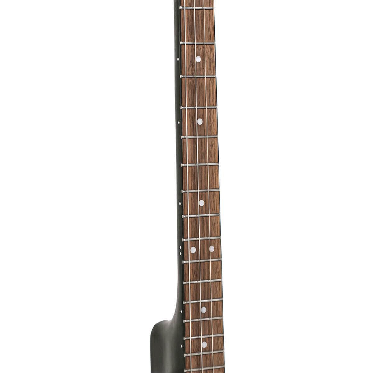 Gold Tone Akustisk komposit 4-strenget openback Irish tenor banjo med taske