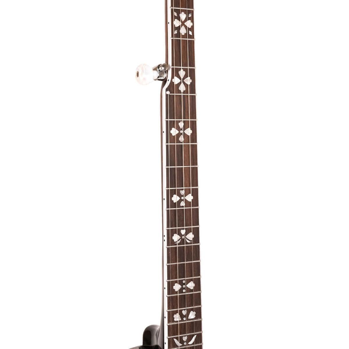 Gold Tone BG-150F 5-strengs Bluegrass banjo med flange og taske