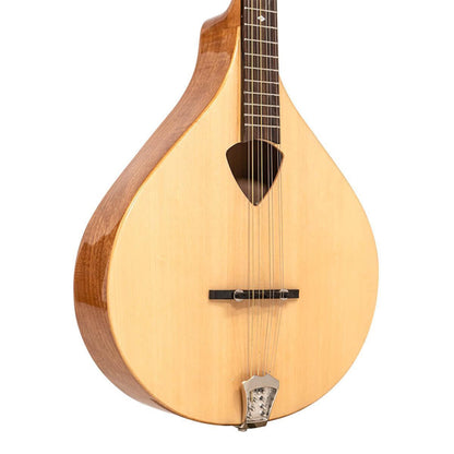 Gold Tone BZ-500 Irsk bouzouki mandolin med massiv grandæk og hardcase