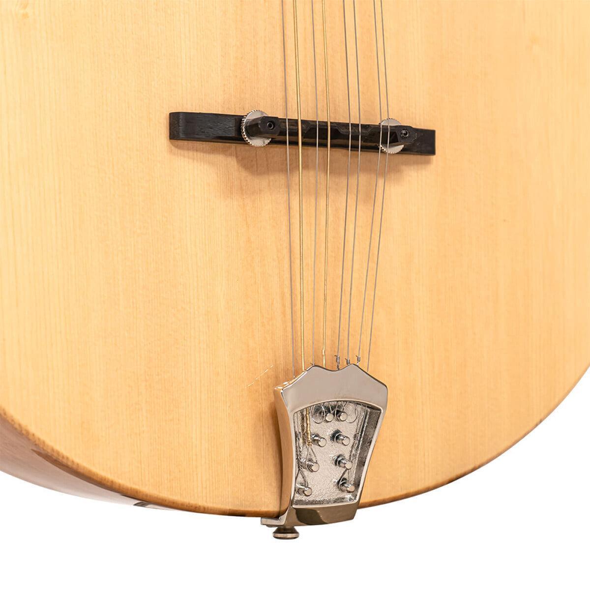 Gold Tone BZ-500 Irsk bouzouki mandolin med massiv grandæk og hardcase