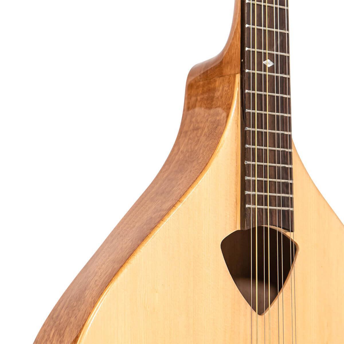 Gold Tone BZ-500 Irsk bouzouki mandolin med massiv grandæk og hardcase