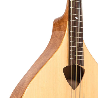 Gold Tone BZ-500 Irsk bouzouki mandolin med massiv grandæk og hardcase