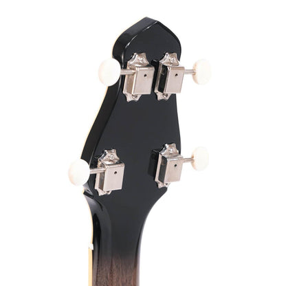 Gold Tone CEB-4 Marcy Marxer Signature Series 4-strenget cello banjo med kuffert