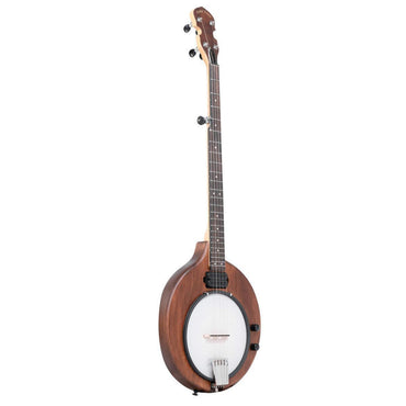 Gold Tone EB-5 5-string electric banjo with bag