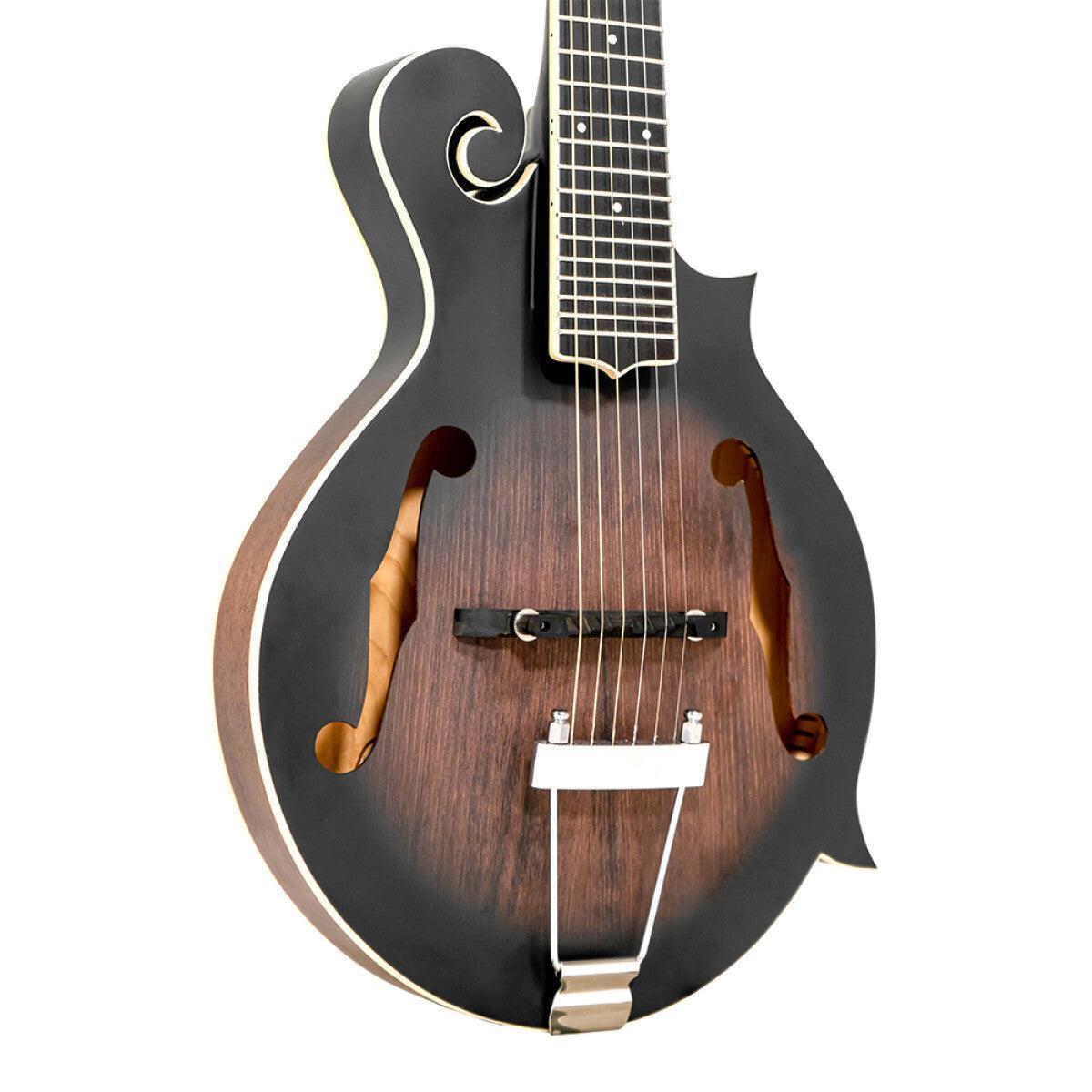 Gold Tone F-6 6-string Guitar Mandolin med F-style Krop, Pickup og Hard Case
