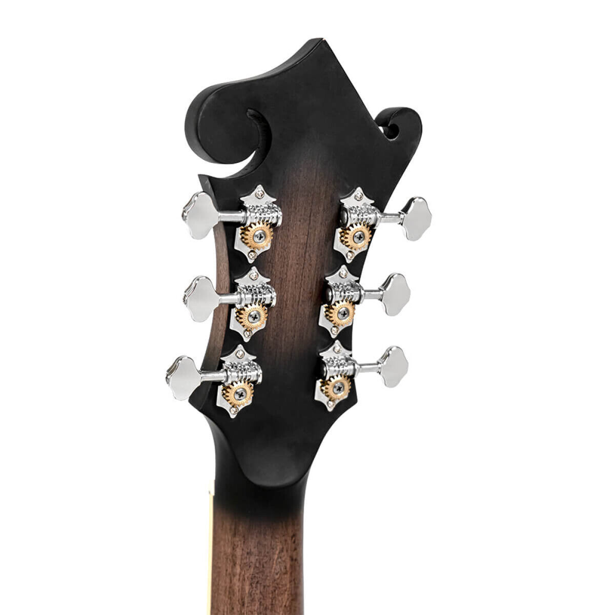 Gold Tone F-6 6-string Guitar Mandolin med F-style Krop, Pickup og Hard Case