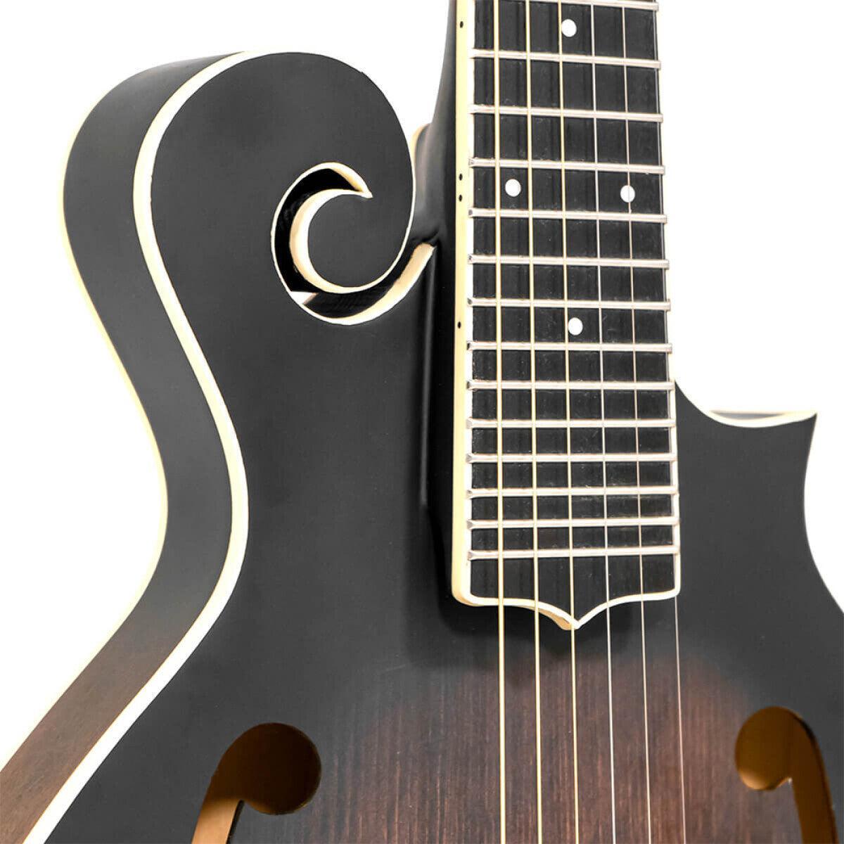 Gold Tone F-6 6-string Guitar Mandolin med F-style Krop, Pickup og Hard Case