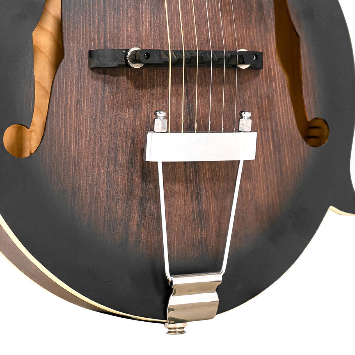 Gold Tone F-6 6-string Guitar Mandolin med F-style Krop, Pickup og Hard Case