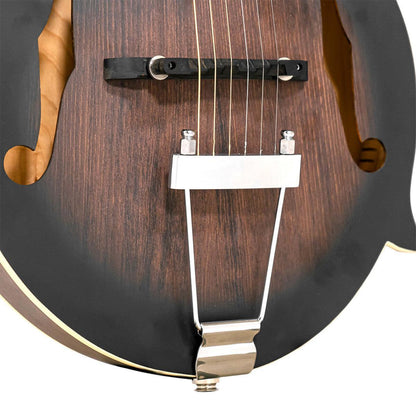Gold Tone F-6 6-string Guitar Mandolin med F-style Krop, Pickup og Hard Case