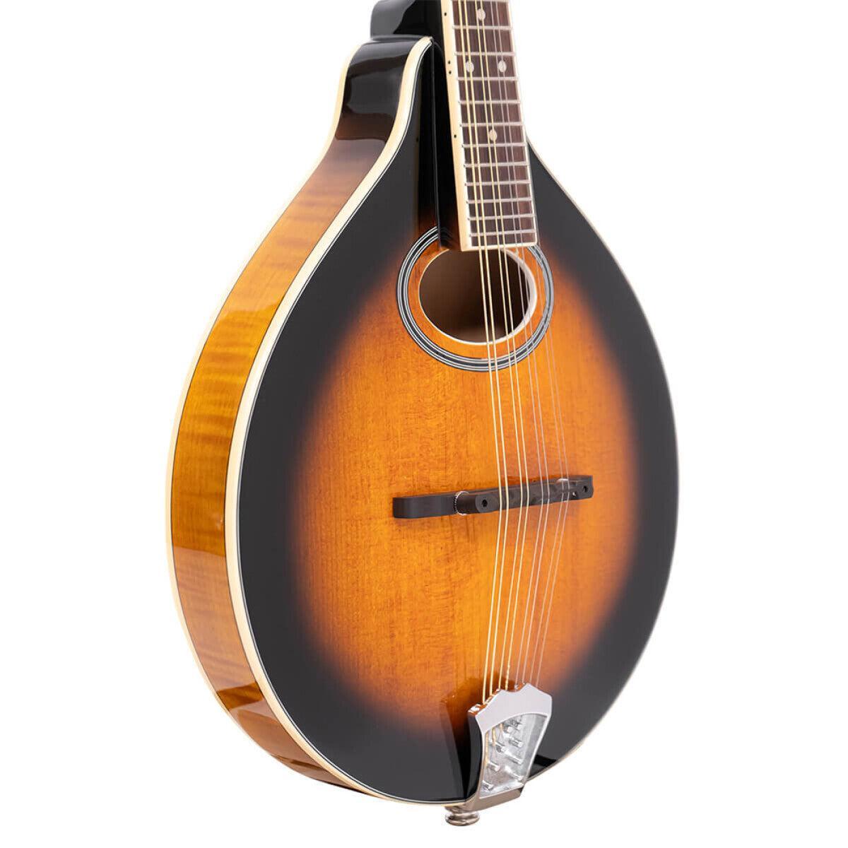 Gold Tone GM-50+ A-style mandolin with pickup and bag included