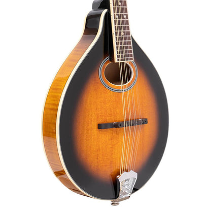 Gold Tone GM-50+ A-style mandolin with pickup and bag included