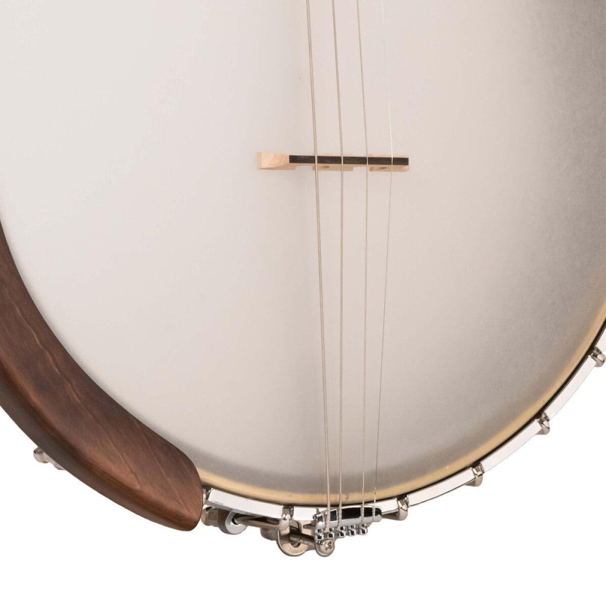 Gold Tone IT-19 Irish tenor banjo med 19 bånd og taske