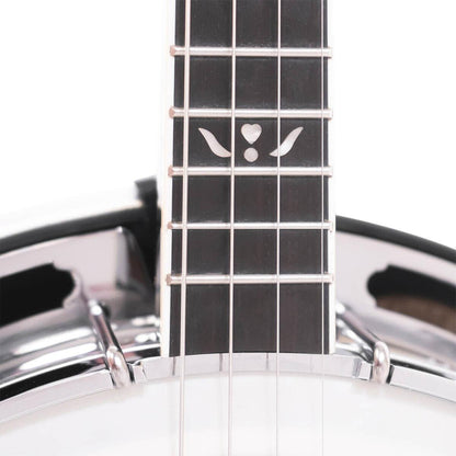 Gold Tone IT-250F – Irsk tenorbanjo med resonator og kuffert