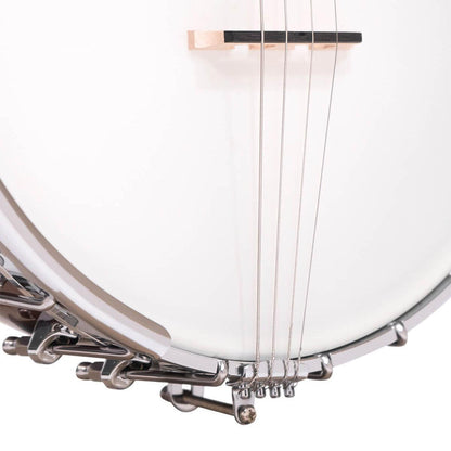 Gold Tone IT-250Irish tenor banjo m. hardcase