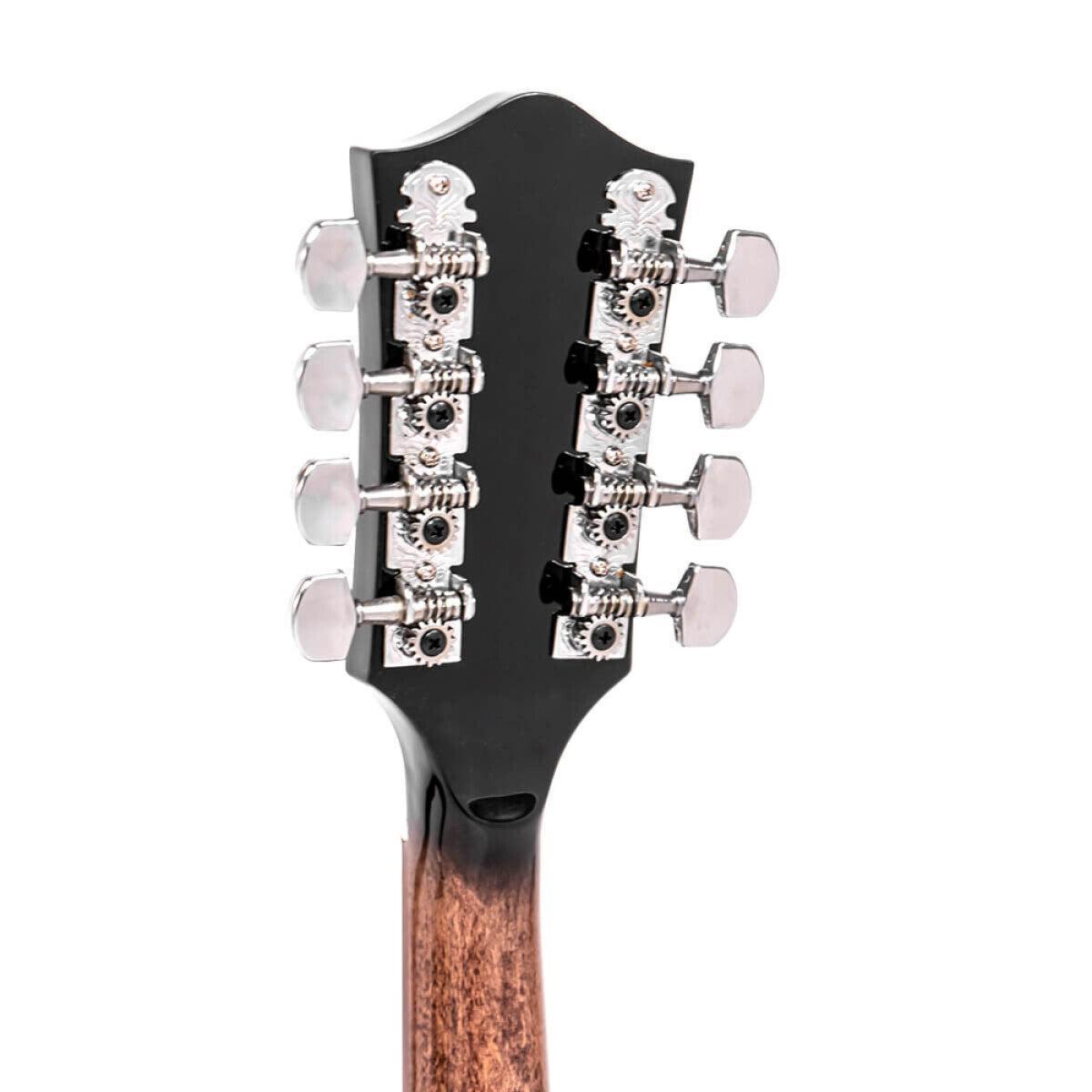 Gold Tone MB-850+ Mandolin-Banjo | Høj Volumen & Vintage Lyd