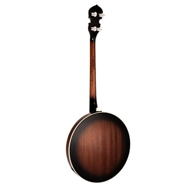 Gold Tone TS-250 – Tenor Special banjo