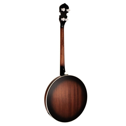 Gold Tone TS-250 – Tenor Special banjo