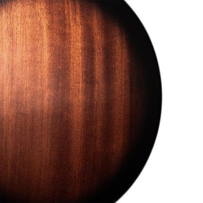 Gold Tone TS-250 – Tenor Special banjo