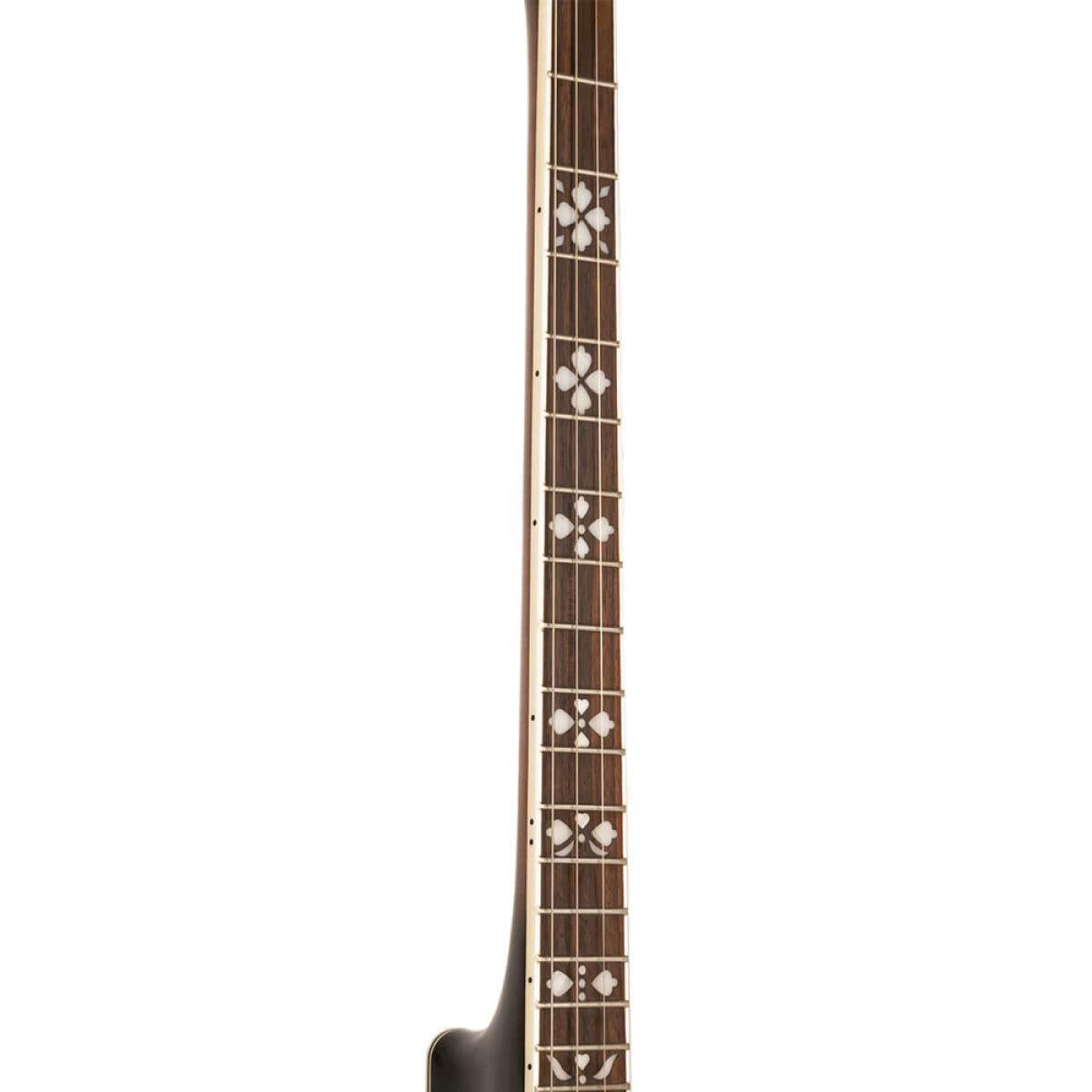 Gold Tone TS-250 – Tenor Special banjo