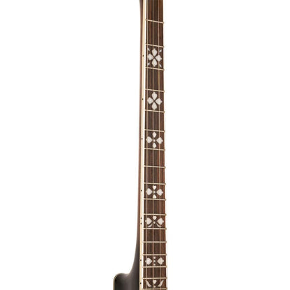 Gold Tone TS-250 – Tenor Special banjo