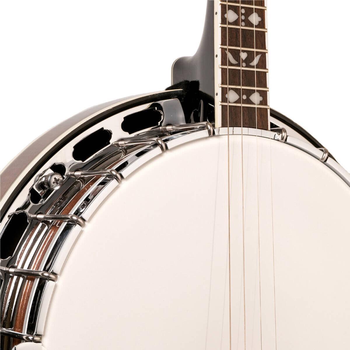 Gold Tone TS-250 – Tenor Special banjo